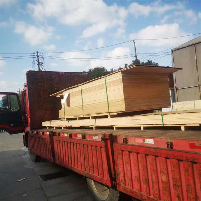 吉林延边敦化至塔城货运专线，一站式物流服务助您成功